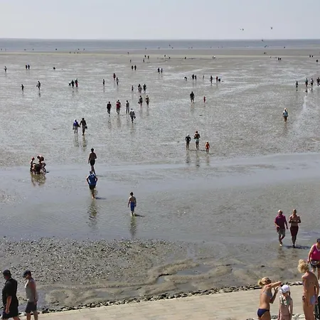 Wattenmeer Und Wattwurm - Dns07075-cyb